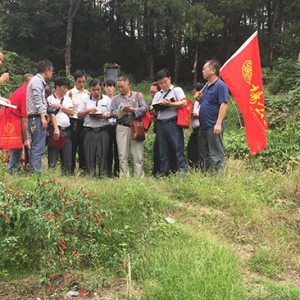 2016年第一期风水实践