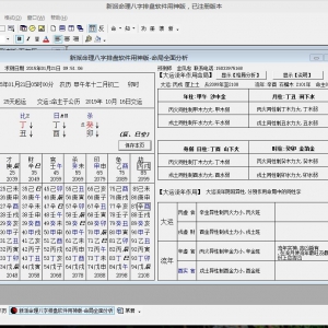 新派命理八字排盘软件用神版软件