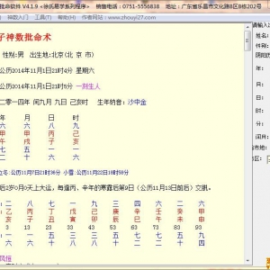 徐氏邵子神数批命流年流月流日软件