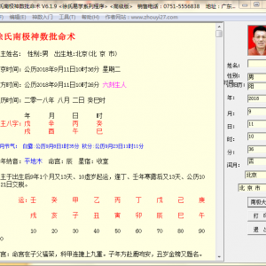 徐氏南极神数批命软件