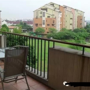 大门对阳台，植物隔断化解