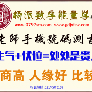 生气加伏位磁场组合能量