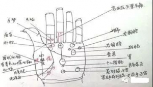 手诊的内涵与疾病