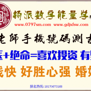 天医加绝命组合能量分析