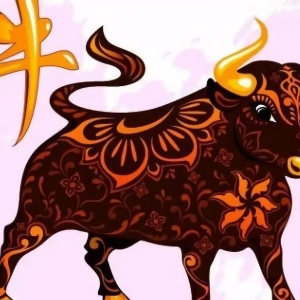 生肖牛的2020（庚子）年流年运势详解