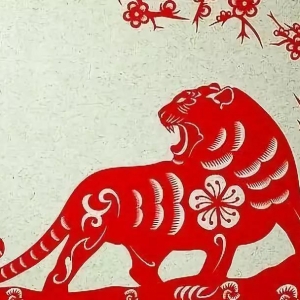 生肖虎的2020（庚子）年流年运势详解