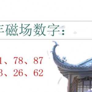 数字能量|哪些数字代表延年磁场，与你有何关系？