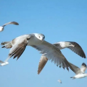 如何通过手机号码看身体健康状况？