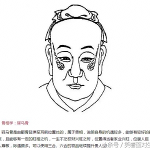 画皮画心难画骨，骨相学秘传口诀