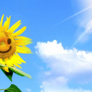 手机号码141的数字能量