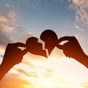 数字能量会离婚的数字