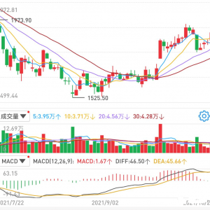 每逢丙丁己流年股市都是上涨的，明年上涨概率大