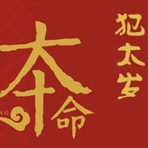 2021年11月十二生肖运势详解