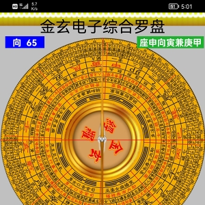 金玄电子综合罗盘大玄空风水诊断软件