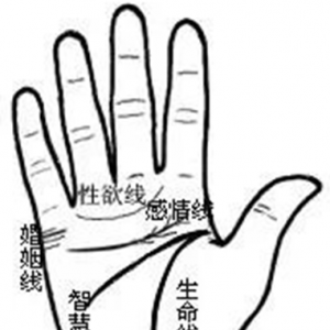 花心与闷骚的手相