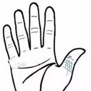 指甲的内涵与疾病