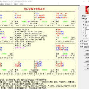 徐氏紫微斗数预测软件专业版