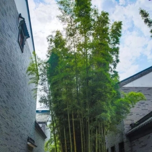 寻龙点穴的秘密——风水、堪舆和地理