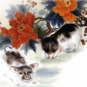 2023年属猪不同年龄运势分析及每月运程详解大全