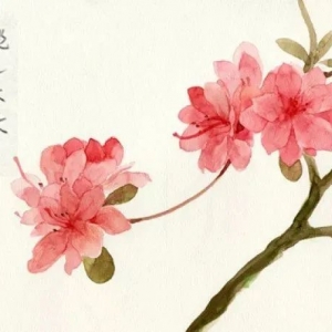 八字中的『桃花』对人生有什么影响？是好还是坏？