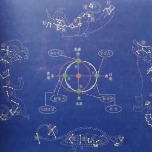 家有青龙树，子孙不难富，什么是青龙树？