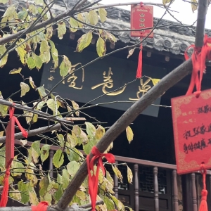 2024甲辰本命年，你可以这样化解