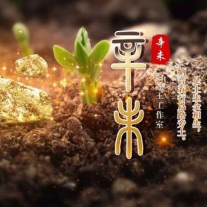 2024甲辰年丁卯月运之辛金日主运势指南（3月5日-4月3日）