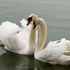 八字命理应期断法详解