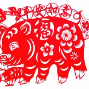 2024年，十二生肖猪五月运势指南