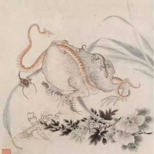 2024年五毒月的九毒日是哪几天，需要注意什么？