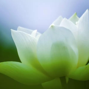 2024年辛未月运壬水日主运势指南7月6日—8月6日