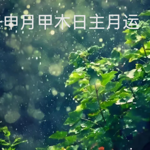 2024年壬申月运甲木日主运势指南8月7日—9月6日