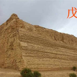 2025年辛巳月戊土日主运势指南5月5日—6月4日