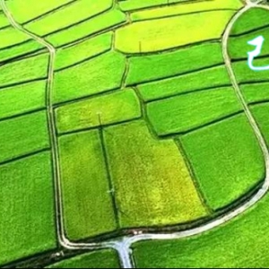 2025年辛巳月己土日主运势指南5月5日—6月4日