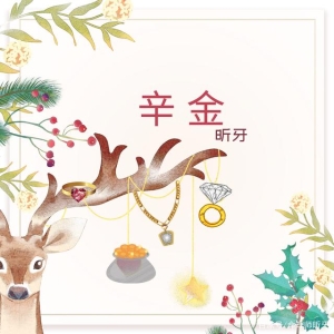 2025年辛巳月辛金日主运势指南5月5日—6月4日